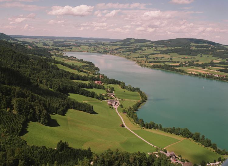 Luftbild auf den Zellersee. Unser Hof liegt ca. in der Mitte des Bildes, hinter der Bucht.